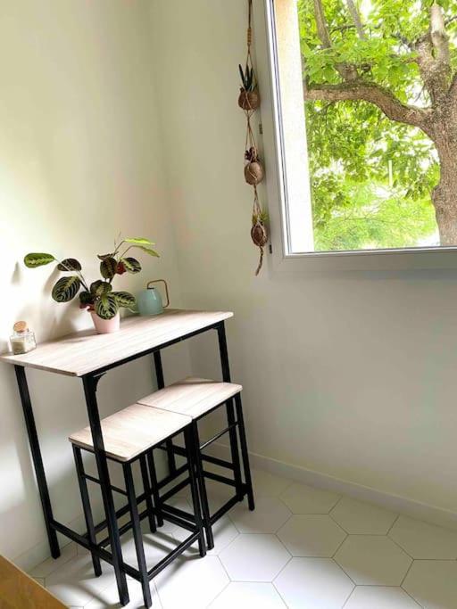 Mon Cocoon Toulousain Cosy Appartement Idealement Situe Toulouse Exterior photo